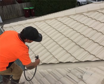 Roof Paintingroof Coating 05